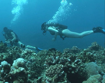 Scuba Diver Sabina Gives a Blowjob and Gets Screwed under Water porn video